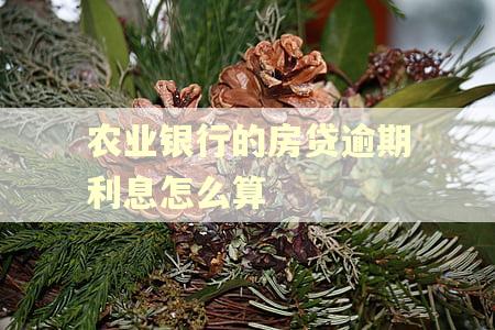 农业银行的房贷逾期利息怎么算