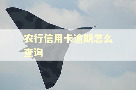 农行信用卡逾期怎么查询