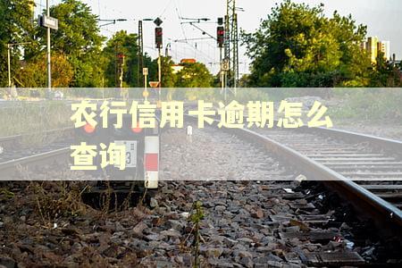农行信用卡逾期怎么查询