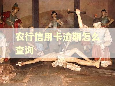 农行信用卡逾期怎么查询
