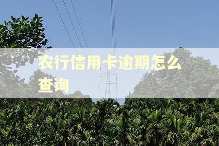 农行信用卡逾期怎么查询 农行信用卡逾期怎么查询