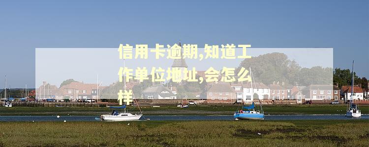 信用卡逾期,知道工作单位地址,会怎么样