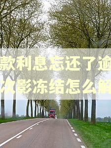 贷款利息忘还了逾期一次影冻结怎么解