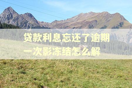 贷款利息忘还了逾期一次影冻结怎么解