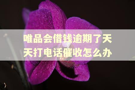 唯品会借钱逾期了天天打电话催收怎么办