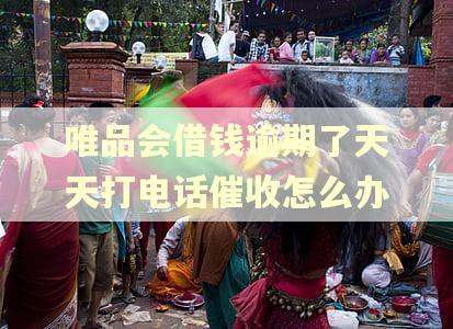唯品会借钱逾期了天天打电话催收怎么办