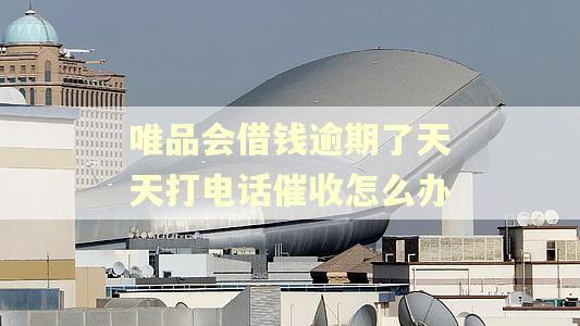 唯品会借钱逾期了天天打电话催收怎么办 唯品会借钱逾期了天天打电话催收怎么办