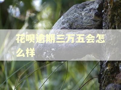 花呗逾期三万五会怎么样