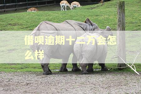 借呗逾期十二万会怎么样