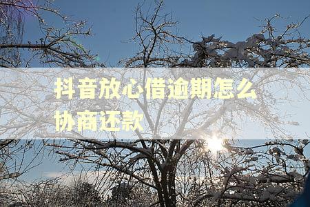 抖音放心借逾期怎么协商还款