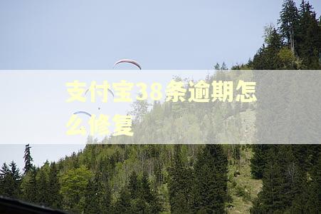 支付宝38条逾期怎么修复