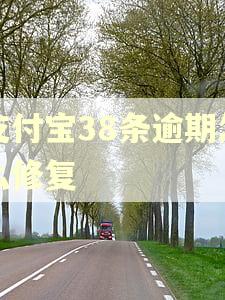 支付宝38条逾期怎么修复