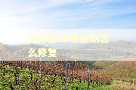 支付宝38条逾期怎么修复