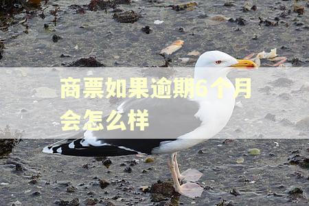 商票如果逾期6个月会怎么样