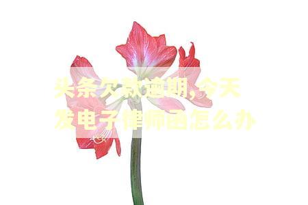 头条欠款逾期,今天发电子律师函怎么办
