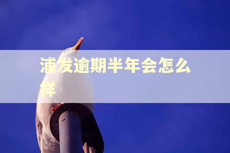 浦发逾期半年会怎么样