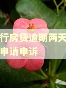 中行房贷逾期两天怎么申请申诉