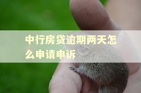 中行房贷逾期两天怎么申请申诉