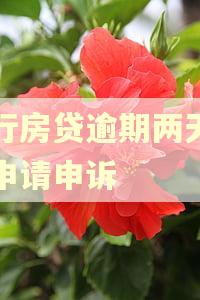 中行房贷逾期两天怎么申请申诉