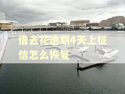 借去花逾期4天上征信怎么恢复