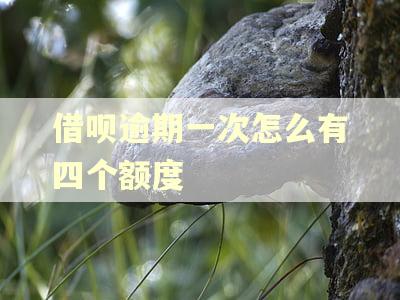 借呗逾期一次怎么有四个额度