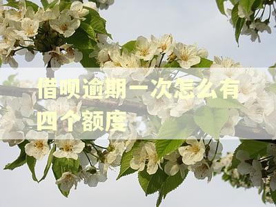 借呗逾期一次怎么有四个额度