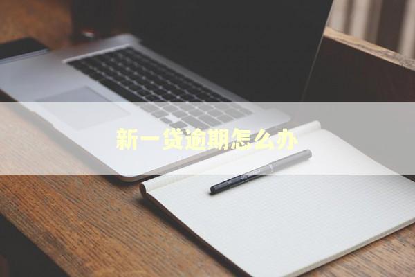 新一贷逾期怎么办