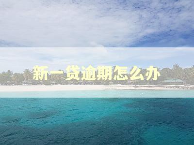 新一贷逾期怎么办