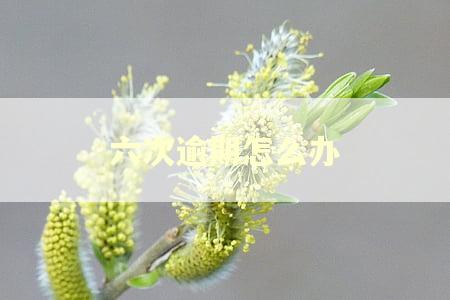 六次逾期怎么办