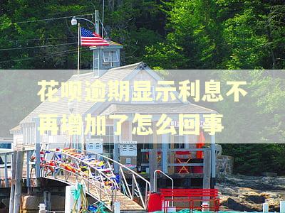 花呗逾期显示利息不再增加了怎么回事