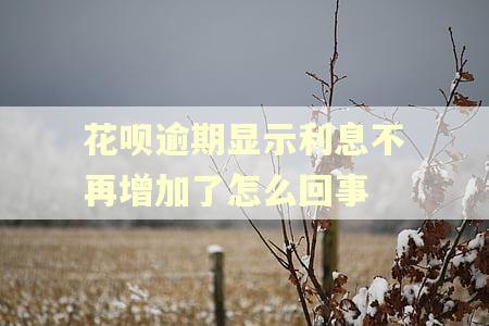 花呗逾期显示利息不再增加了怎么回事