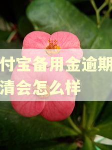 支付宝备用金逾期后还清会怎么样