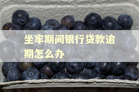 坐牢期间银行贷款逾期怎么办