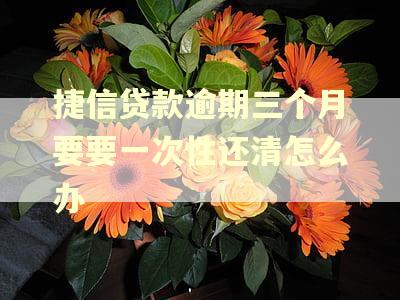 捷信贷款逾期三个月要要一次性还清怎么办
