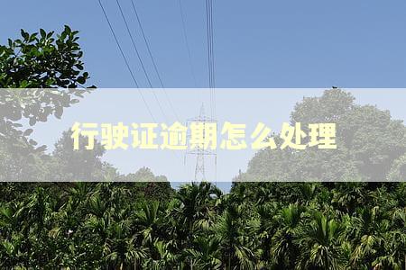 行驶证逾期怎么处理