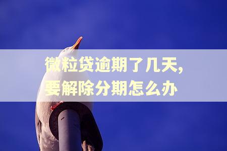 微粒贷逾期了几天,要解除分期怎么办