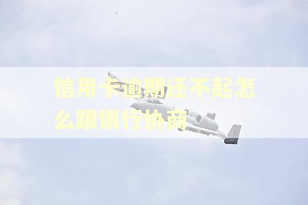 信用卡逾期还不起怎么跟银行协商