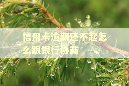 信用卡逾期还不起怎么跟银行协商