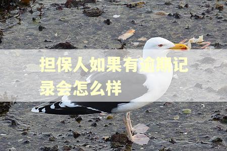 担保人如果有逾期记录会怎么样