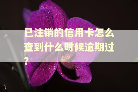已注销的信用卡怎么查到什么时候逾期过?