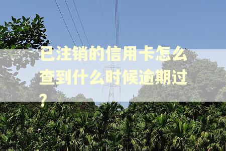 已注销的信用卡怎么查到什么时候逾期过?