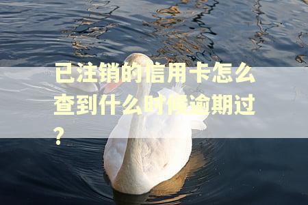 已注销的信用卡怎么查到什么时候逾期过?