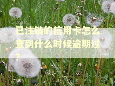 已注销的信用卡怎么查到什么时候逾期过? 已注销的信用卡怎么查到什么时候逾期过?