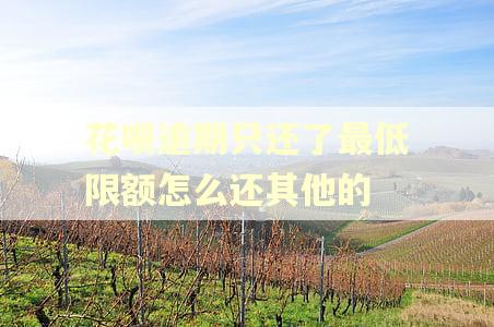 花呗逾期只还了最低限额怎么还其他的