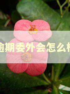 逾期委外会怎么样
