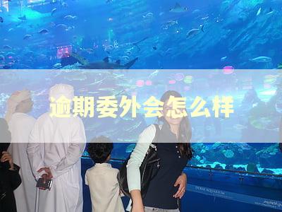 逾期委外会怎么样