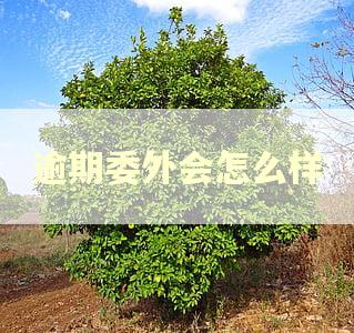 逾期委外会怎么样