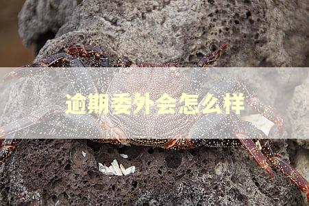 逾期委外会怎么样 逾期委外会怎么样