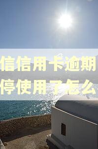 中信信用卡逾期10暂停使用了怎么办 中信信用卡逾期10暂停使用了怎么办