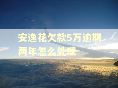 安逸花欠款5万逾期两年怎么处理